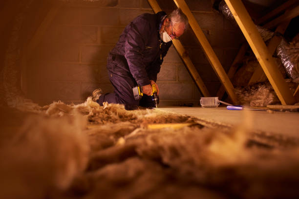Best Geographic-Specific Insulation Services in Jackson, MN